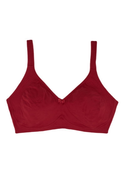 v1543232005/N16325787A_1