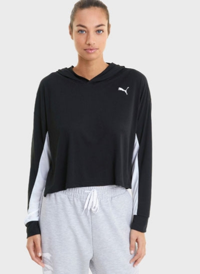 v1615818213/N44254994V_1