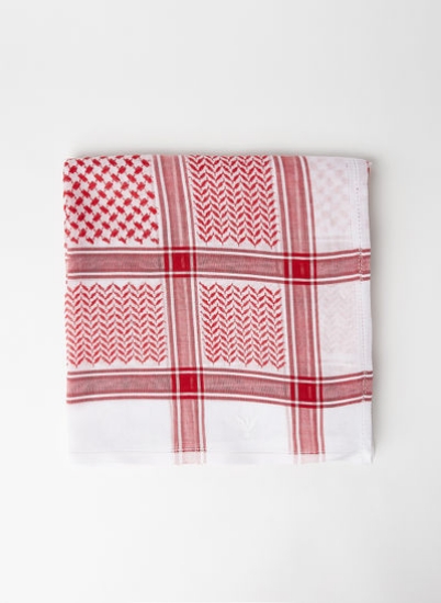 v1621830257/N46378630V_1