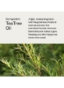 شامپو روغن درخت چای Mystical برای اثر ضد التهابی (بسته 2 عددی) 2 x 200 میلی لیتر