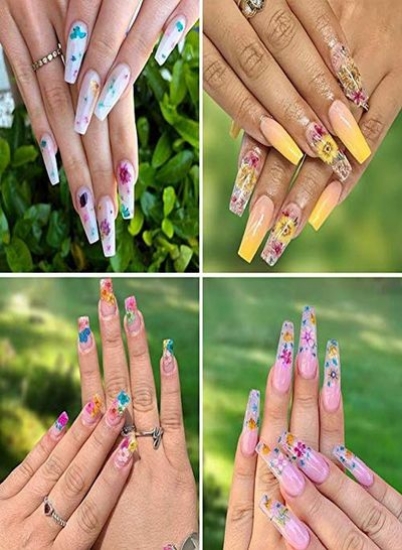 Es Nail Art Dried Flowersunime 24 Colors Dry Flowers Mini Real Natural Flowers Nail Art Supplies 3D Applique Decoration Nail for Tips لوازم جانبی دکور مانیکور گیپسوفیلا فلاورز برگ