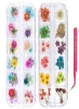 Es Nail Art Dried Flowersunime 24 Colors Dry Flowers Mini Real Natural Flowers Nail Art Supplies 3D Applique Decoration Nail for Tips لوازم جانبی دکور مانیکور گیپسوفیلا فلاورز برگ