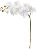 بسته 5 تایی گل ارکیده مصنوعی سفید 103 سانتی متری