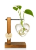 گلدان شیشه ای، گلدان آب کاشت گلدان شیشه ای رومیزی گلدان حباب کاشت شیشه ای آویز با پایه چوبی جامد رترو