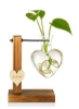 گلدان شیشه ای، گلدان آب کاشت گلدان شیشه ای رومیزی گلدان حباب کاشت شیشه ای آویز با پایه چوبی جامد رترو