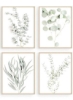 چاپ روی دیوار گیاهان گیاهی - تصاویر دکور عکس مینیمالیست برگ های آشپزخانه بوهو برگ سبز اکالیپتوس مجموعه پوستر 4 تایی (8 &quot;x10&quot;، بدون قاب)