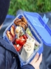 باکس اسنک اتک بنتو باکس یا جعبه ناهار برای کودکان توسط اسنک اتک 4 و 6 محفظه قابل تبدیل جعبه ناهار مواد درجه بندی شده مواد غذایی BPA FREE &amp; LEAK PROOF | ساخته شده از Triton Spaceman Blue