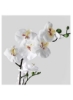 گیاه گلدانی مصنوعی سفید ارکیده ۱۲ سانتی متر