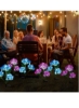 چراغ‌های خورشیدی در فضای باز دکوراتیو گل‌های ال‌ای‌دی ضدآب و واقع‌گرایانه برای حیاط خلوت آبی بنفش 2 بسته