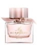 Blush Eau De Parfum 90ml