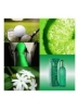 2 عددی Color Me Green EDT 90ml