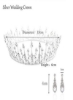تاج و تاج عروس باروک نقره ای تاج و گوشواره پرنسس عروس ست کریستال کریستال کوئین تاج بدلیجات لباس مجلسی تاج اکسسوری مو زنانه و دخترانه