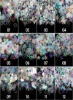 12 جعبه هولوگرافیک هولوگرافیک پولک های دریایی پری دریایی رنگین کمانی استیکر زرق و برق بسیار نازک رنگارنگ برای تزئین هنر ناخن پالت فستیوال آرایشی براق کاردستی یا تزیین موی صورت