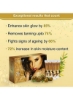 کیت اسپا صورت طلایی Unisex Herbals برای پوست درخشان فوری | مرطوب کننده عمیق | ضد پیری انواع پوست برای مردان و زنان 55 گرم