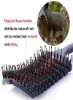 Nted Boar Bristle Hair Brush Paddle Detangler Hairbrush for swear drying hair stylesing hairs and women موهای بلند و نازک و درهم درهم