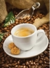 آسیاب قهوه و آسیاب دانه قهوه 150 وات CBM4-B5 قهوه ای