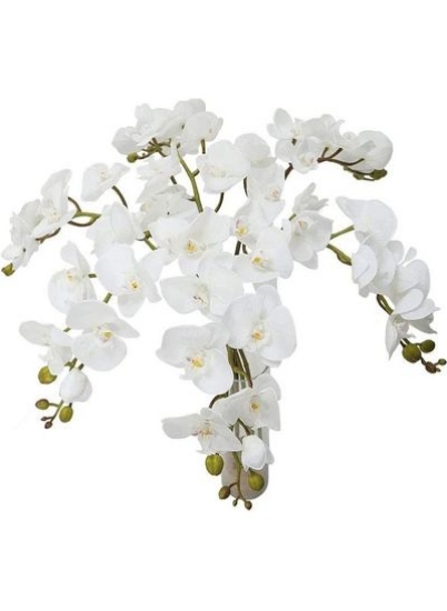 بسته 6 عددی گل ارکیده مصنوعی سفید 101 سانتی متری
