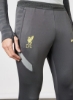 Liverpool FC Strike Dri-FIT Football Pants Grey