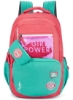 کوله پشتی SKYBAGS Drip Nxt 02 Unisex Pink Daypack- SK BPDRNT2PNK