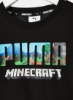 تی شرت آرام پسرانه Minecraft