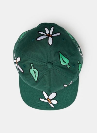 Ditsy Snapback Cap