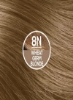 رنگ موی دائمی 8N بلوند جوانه گندم (بسته 1 عددی) بدون آمونیاک وگان بدون ظلم تا 100% پوشش خاکستری نتایج طولانی مدت