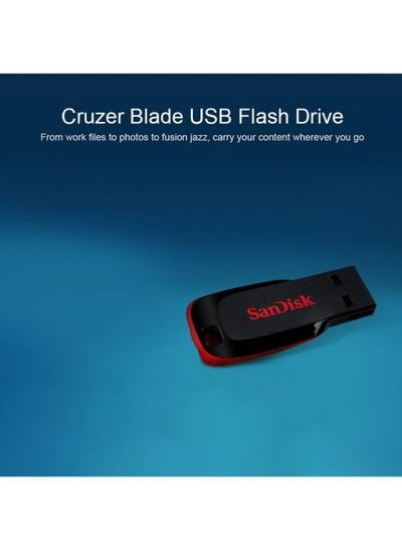32 گیگابایت Cruzer Blade Mini Encryption USB 2.0 Pen Drive C6004-32-L مشکی