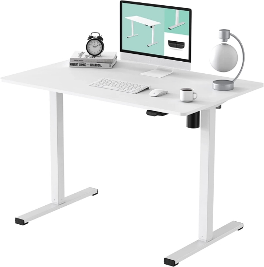 FLEXISPOT Essential White Standing Desk 48 x 24 Inches Whole-Piece Desk Board Electric Stand Up Desk Height Adjustable Desk for Home Office