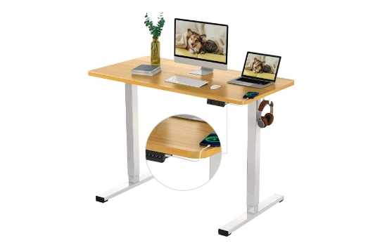 تصویر  میز با قابلیت تنظیم ارتفاع برقی FLEXISPOT EG1 Essential Standing Desk 48 x 24 Inches with Splice Board Height Adjustable Desk Electric Sit Stand Desk Home Office Desks Vici