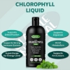 محلول خوراکی کلروفیل طبیعی Oladole با طعم نعنا ا Oladole Natural Chlorophyll Liquid - 300ml Mint Flavor