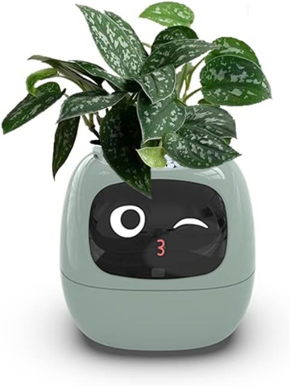 Itigoitie-Flowerpots-Intelligent-Expressions-Plant-free