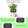 Itigoitie-Flowerpots-Intelligent-Expressions-Plant-free