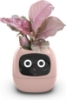 	Itigoitie-Flowerpots-Intelligent-Expressions-Plant-free