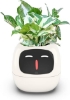 	Itigoitie-Flowerpots-Intelligent-Expressions-Plant-free