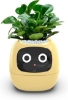 	Itigoitie-Flowerpots-Intelligent-Expressions-Plant-free