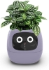 	Itigoitie-Flowerpots-Intelligent-Expressions-Plant-free